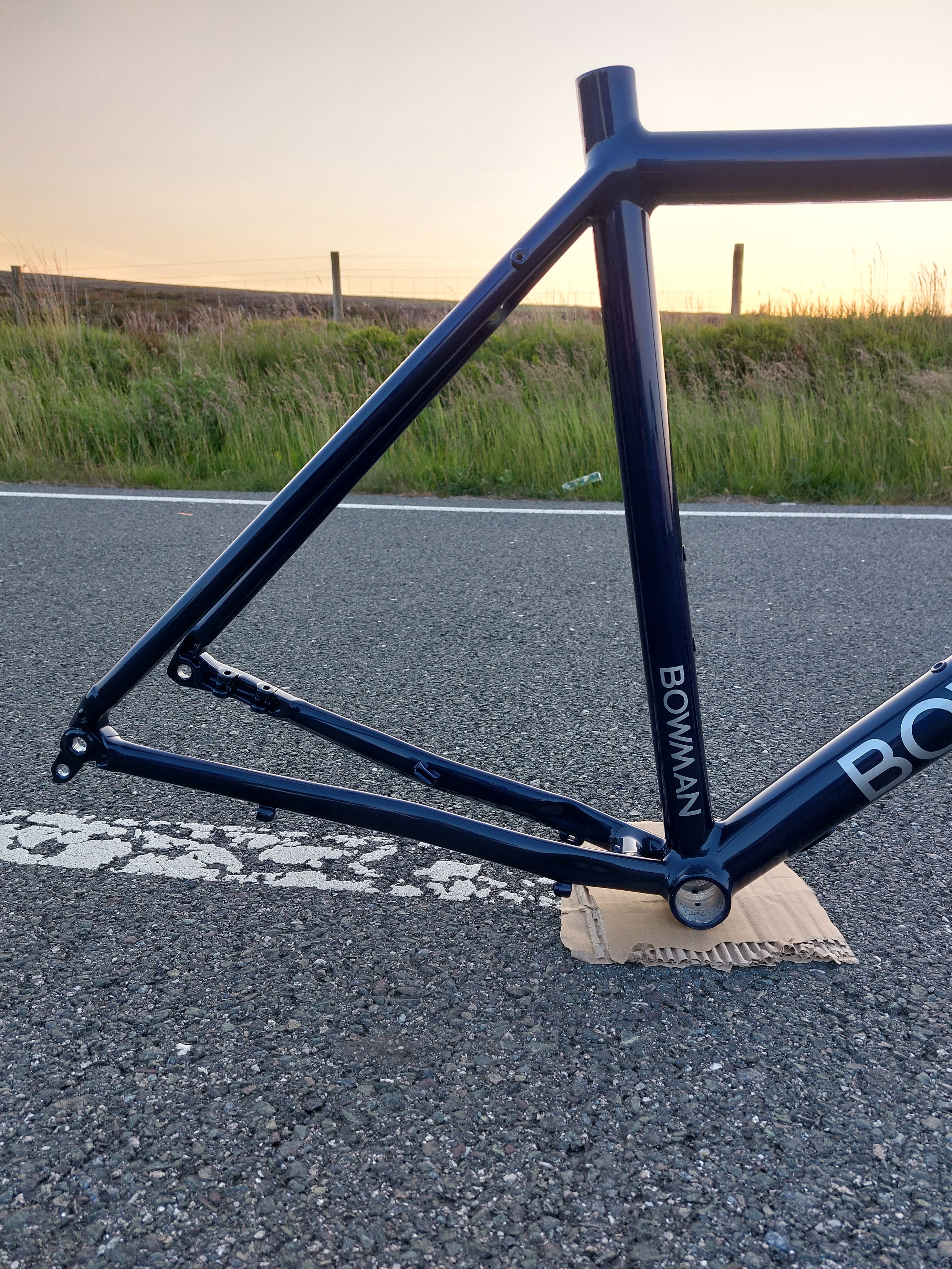 Blue best sale bike frame